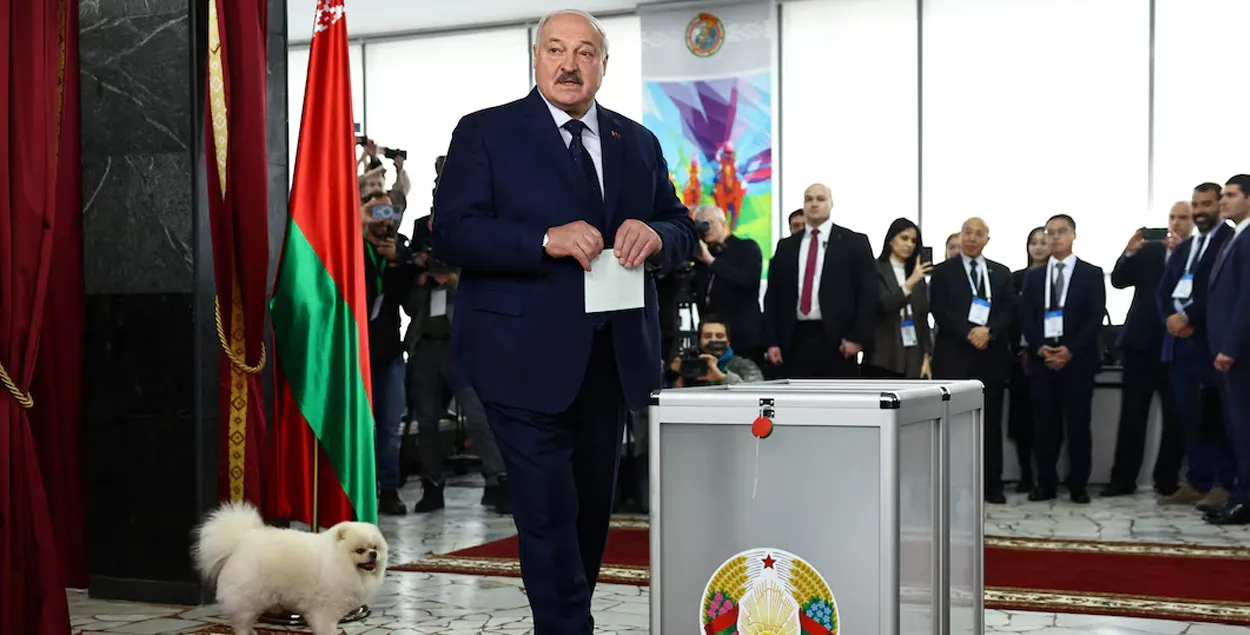 Явка в Беларуси - Умка и Лукашеннко 