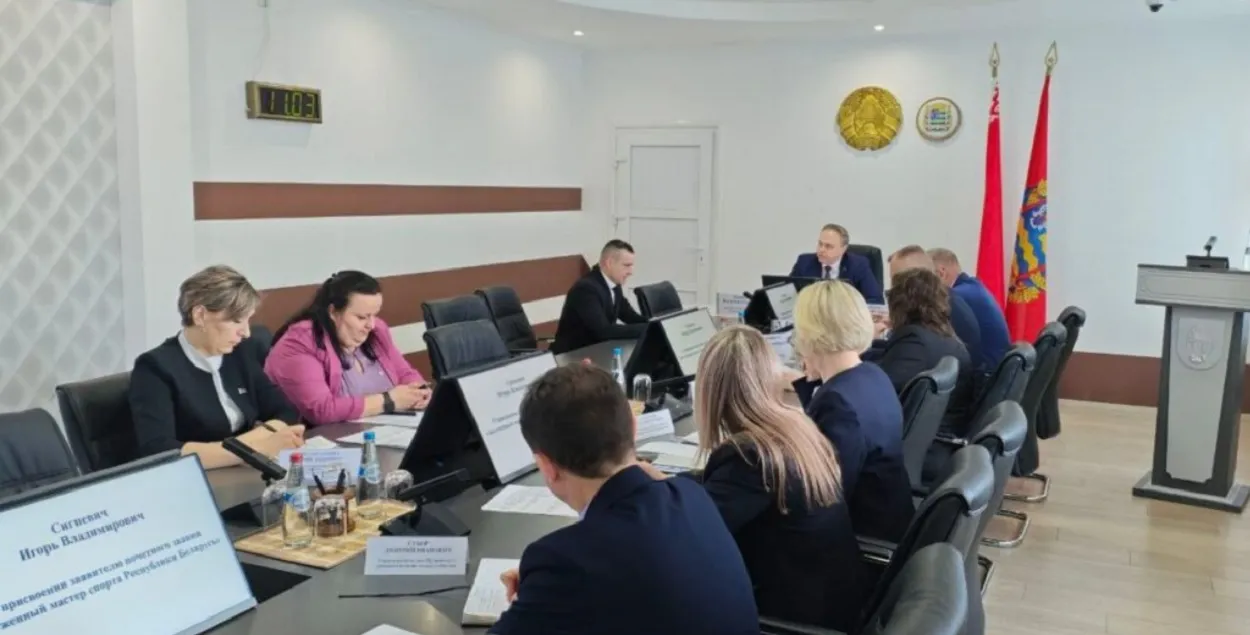 Игорь Сигневич на приеме у Владимира Караника
