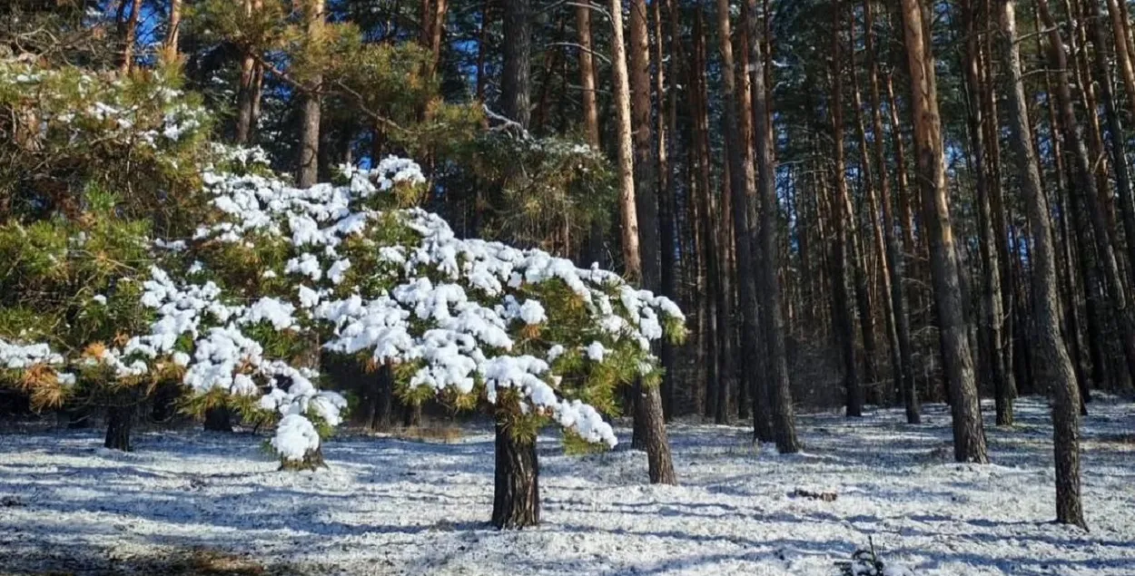 Снег в апреле

