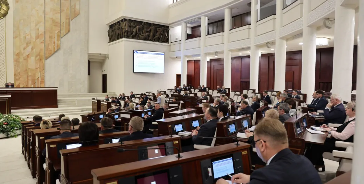 Палата прадстаўнікоў прыняла праўкі адразу ў двух чытаннях

