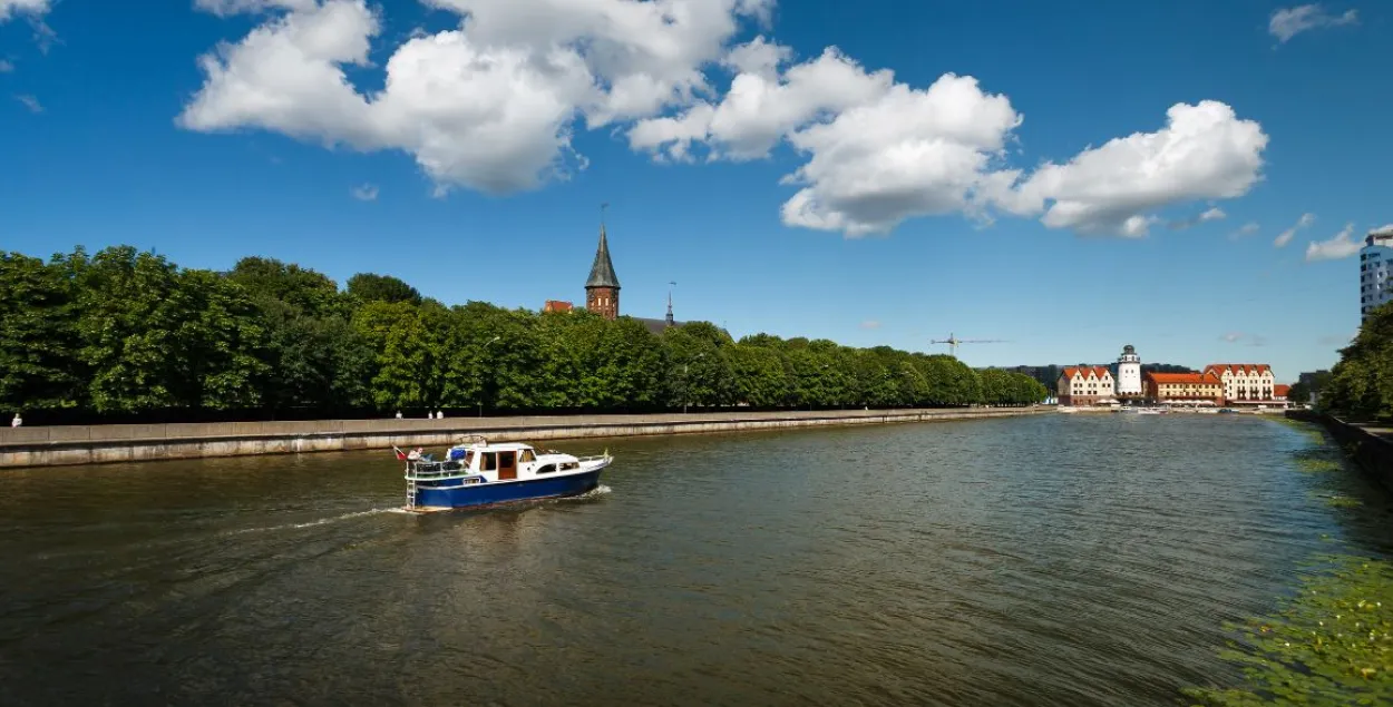 Калінінград / Canva
