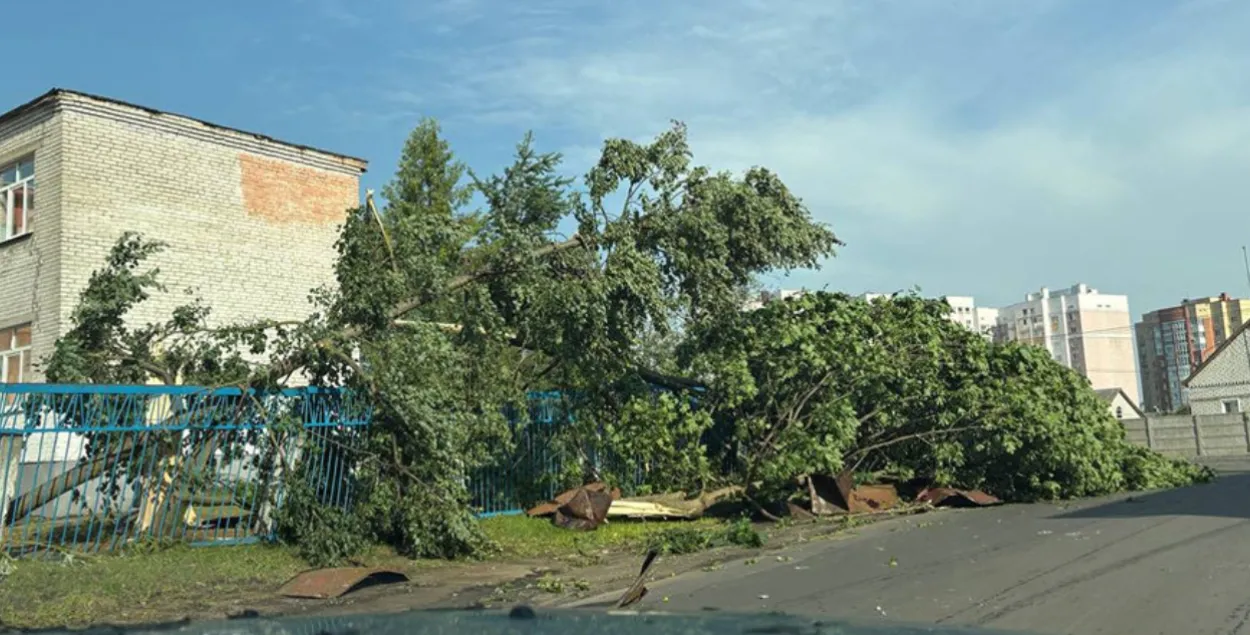 Последствия урагана в Могилеве
