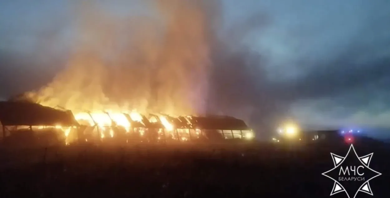 Пожар в Нарочи
