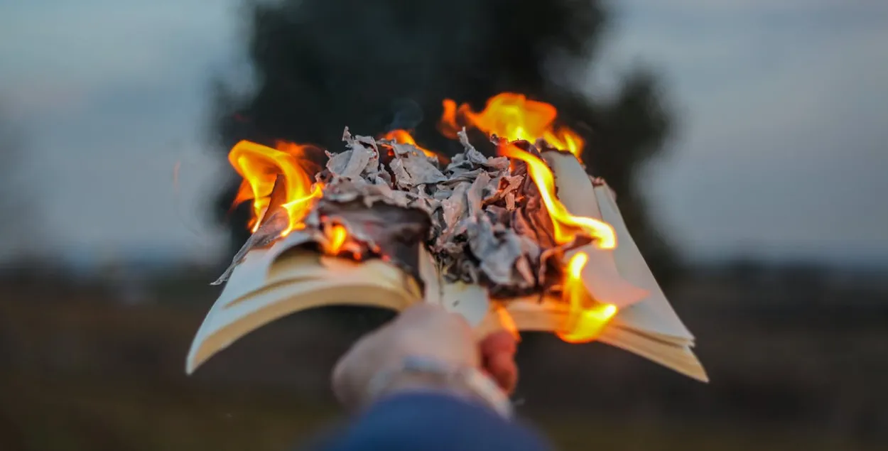 Книги, иллюстративное фото
