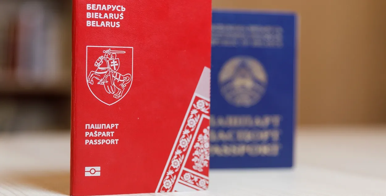 Паспорт Новой Беларуси
