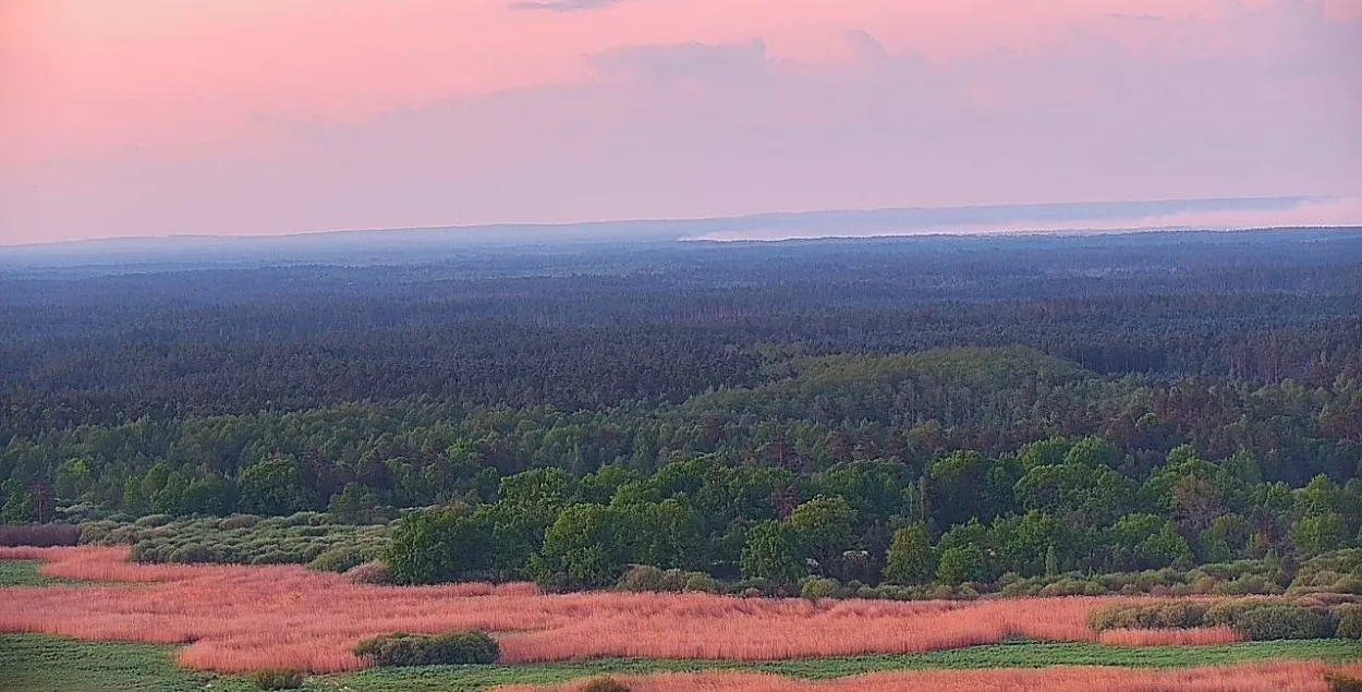 Лесной пожар
