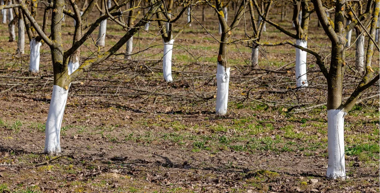 Бавіце час летам за горадам? Зрабіце пераразлік!
