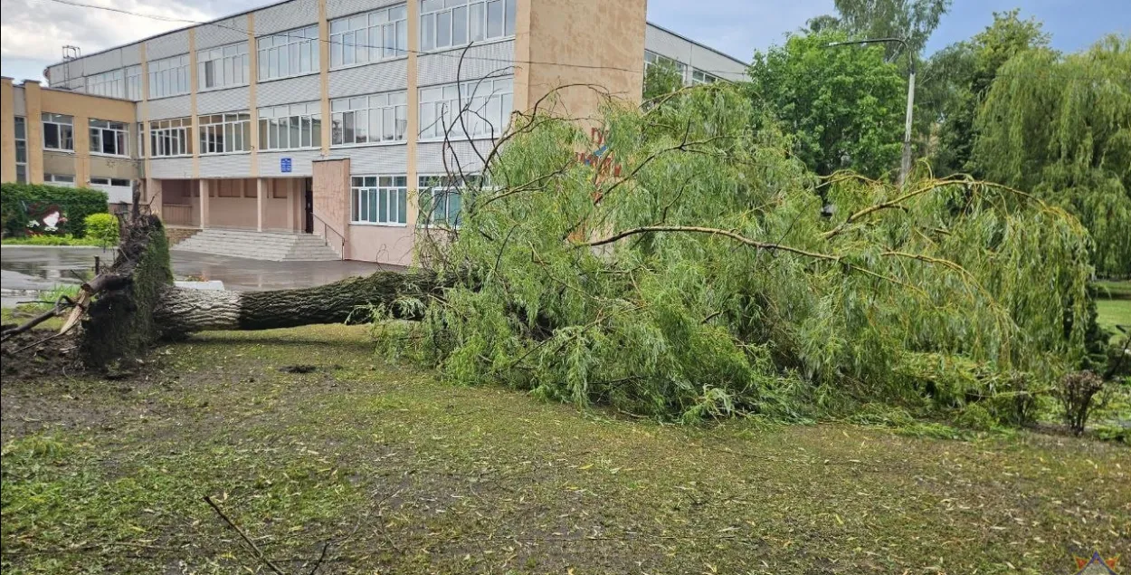 Последствия непогоды в Бобруйске
