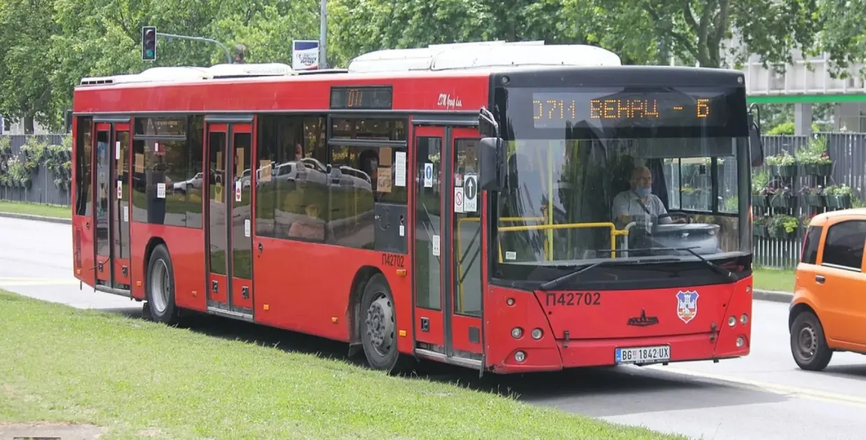 МАЗ
