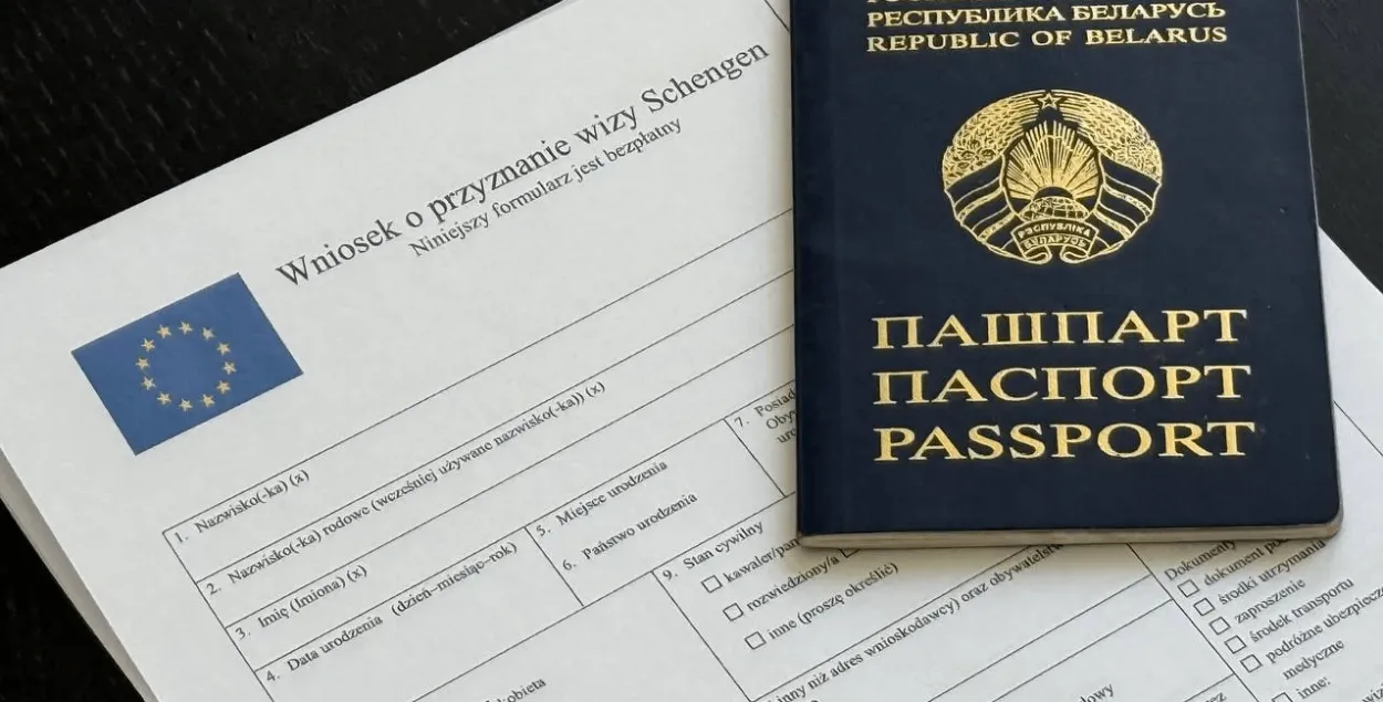 Падача на візу
