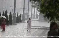 Лето в Беларуси / БЕЛТА&nbsp;