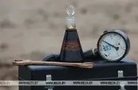 БЕЛТА