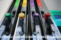BELTA