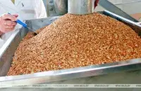Решение начнёт действовать с момента его публикации / БЕЛТА​