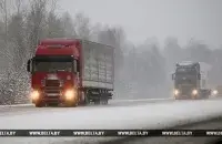 БЕЛТА