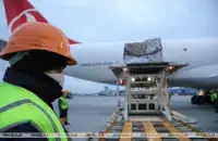 Разгрузка гуманитарной помощи / Из архива БЕЛТА