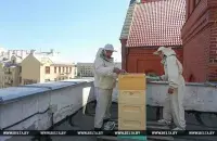 Фото: БЕЛТА
