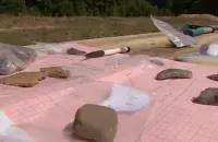 Скриншот с видео "Беларусь 1"​