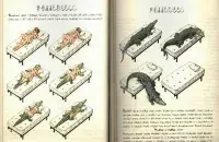 Фота: Сodex Seraphinianus
