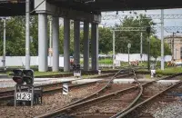 Животное попало под поезд
