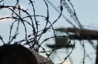 
The criminal article "high treason"" is becoming a "daily weapon of repression", say human rights activists, sample photo
