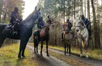 Всадники из полиции / twitter.com/podlaskaPolicja