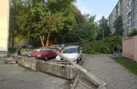 В Гомеле дерево и фонарный столб упали на машины / t.me/Auto_Gomel​