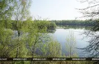 Фото: БЕЛТА