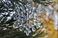 Фото: pixabay.com