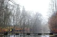 Фото: БЕЛТА