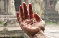 Фото: pixabay.com