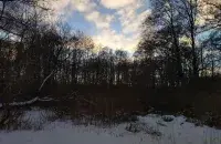 Облачно с прояснениями будет 11 февраля / Еврорадио​