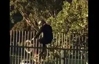 Фото: скриншот с видео.