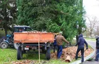 Арыштаваных адпраўляюць на працу