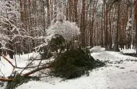 Брестский парк воинов-интернационалистов