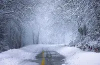 Погода в Беларуси
