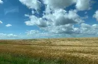 В июне в Клецком районе
