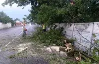 Последствия непогоды в Гомеле

