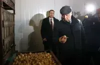 Роман Головченко осматривает запасы лука
