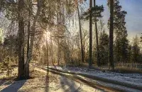 Зима в Беларуси
