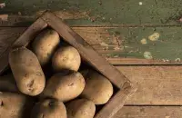 Урожай в Беларуси
