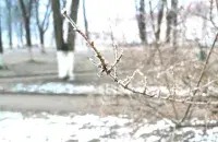 В феврале в Беларуси

