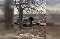 Собака, повешенная в Гродно
