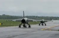 Знішчальнікі
