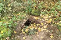 Подкоп на белорусско-польской границе
