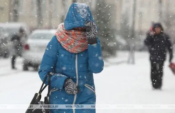 Снег и метель в январе&nbsp;/ БЕЛТА