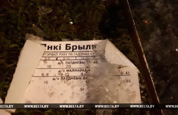 Фото: БЕЛТА