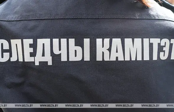 Следственный комитет рапортует, что ещё одна мать попала за решётку / Из архива БЕЛТА​