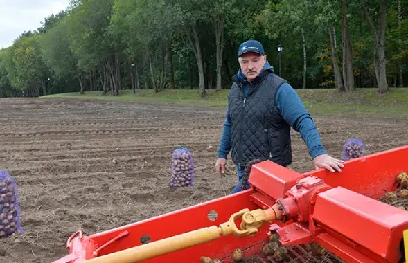 Alyaksandr Lukashenka / president.gov.by