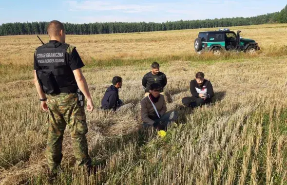 Задержание мигрантов возле польско-белорусской границы в августе / Из архива strazgraniczna.pl​